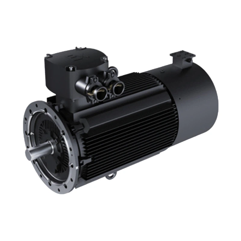 Explosionsgeschützter Permanentmagnetmotor für Öl und Gas